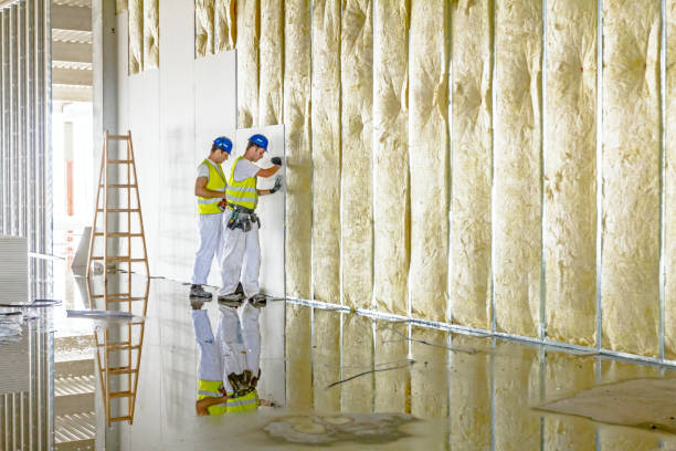 Best Fireproof Insulation  in Ocean View, DE